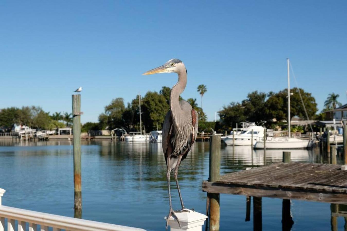 Villa Tranquility-Waterfront-Punta Gorda, Fl Экстерьер фото